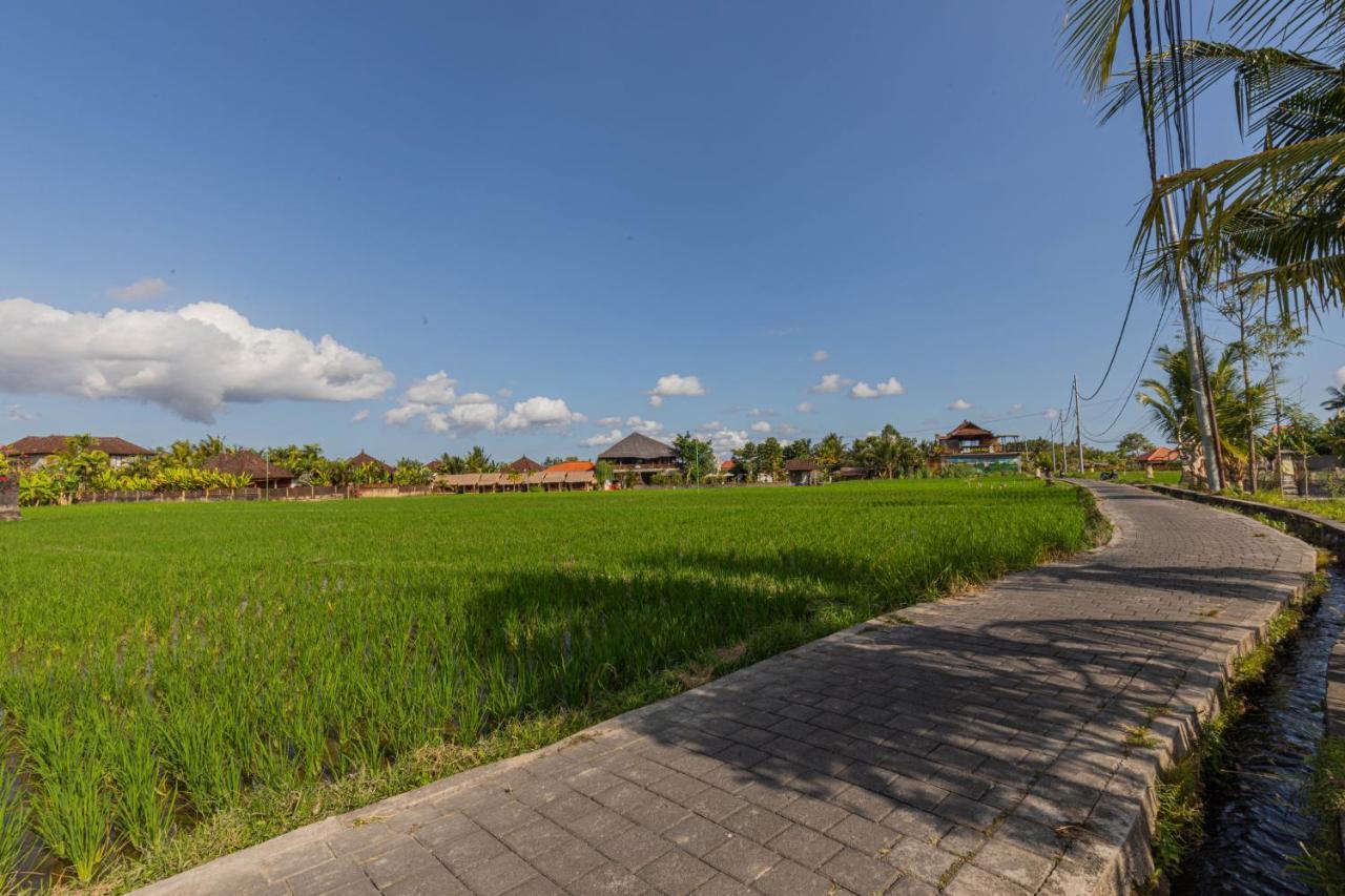 Niluh Private Villas Убуд Екстериор снимка